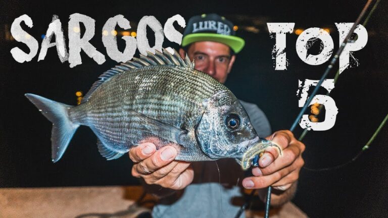 Mejores Se&ntilde;uelos para Pesca Recreativa