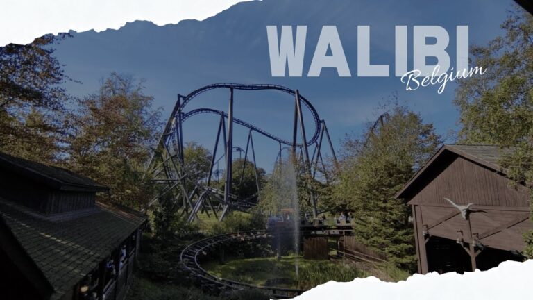 Adrenalina Pura: Explora Parques de Aventura