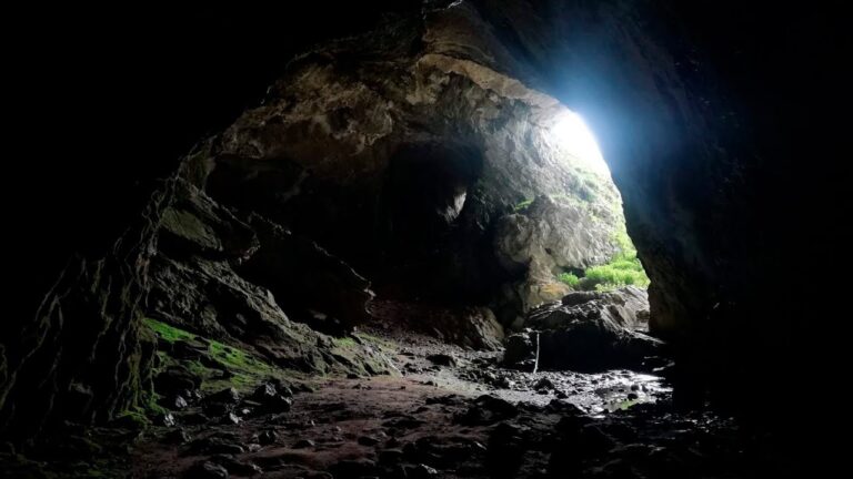 Explorando Recorridos Naturales en Parques de Montaña