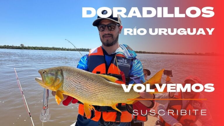 Pesca Recreativa en Kayak: Una Experiencia &Uacute;nica