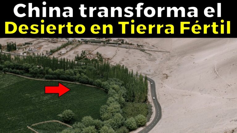 Creando Oasis Urbanos: La Importancia de las Zonas Verdes