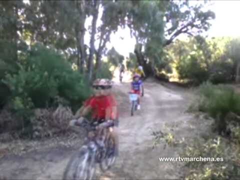 Circuitos de Ciclismo en la Naturaleza: Rutas para Aventura y Bienestar