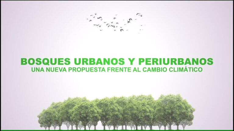 La importancia de los bosques urbanos en la sostenibilidad ambiental