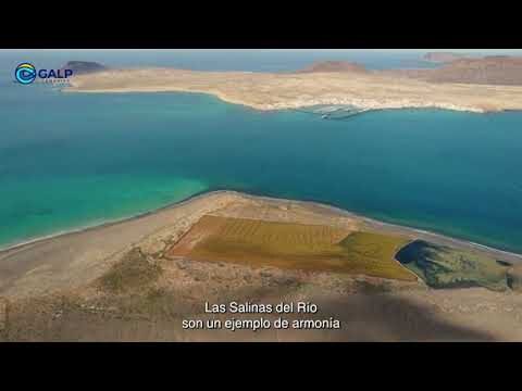 Descubriendo los Tesouros Naturales de Playas y Dunas