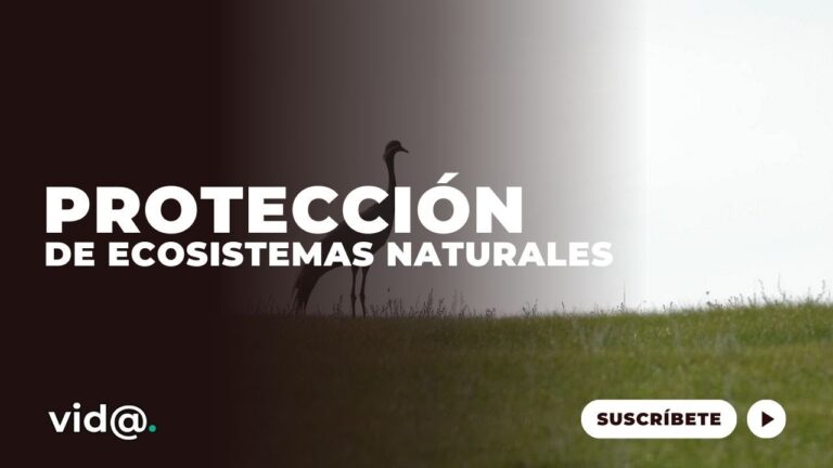 Conservaci&oacute;n de Fauna en H&aacute;bitats Naturales