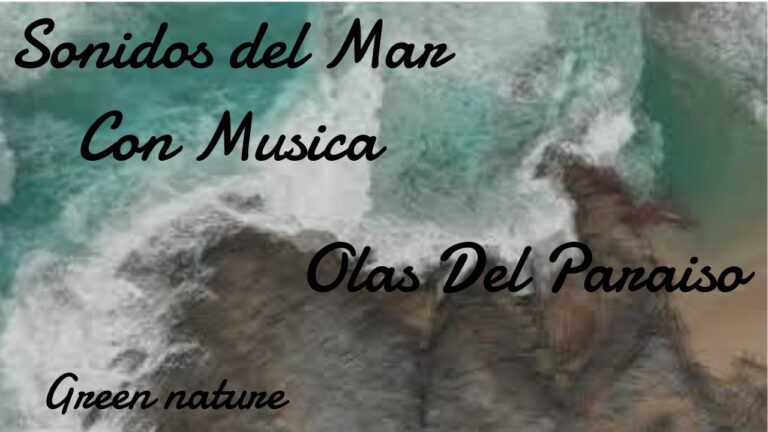 Armon&iacute;a Integral: Yoga y Meditaci&oacute;n en Parques para el Equilibrio Mental y F&iacute;sico