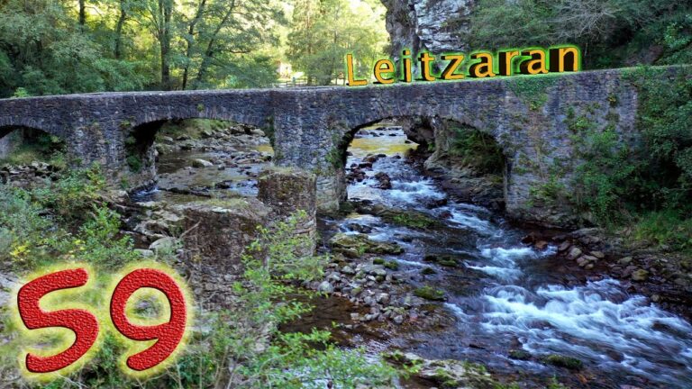 Los Mejores Destinos para la Pesca sin Muerte