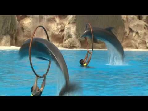 Funciones Teatrales al Atardecer en Parques: Una Experiencia Única