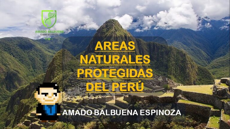 Beneficios de la Caza Sostenible en Reservas Naturales