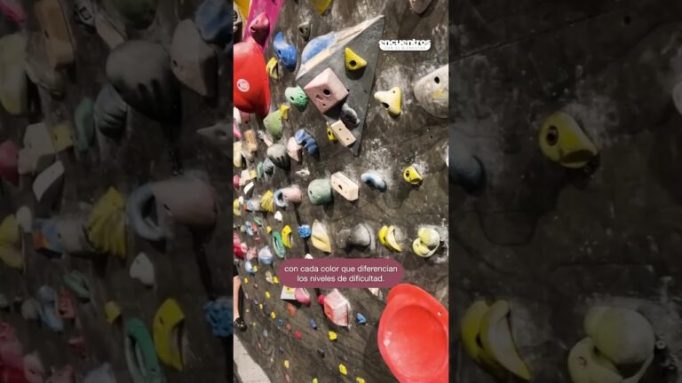 Mejores Zonas de Escalada para Cursos de Escalada