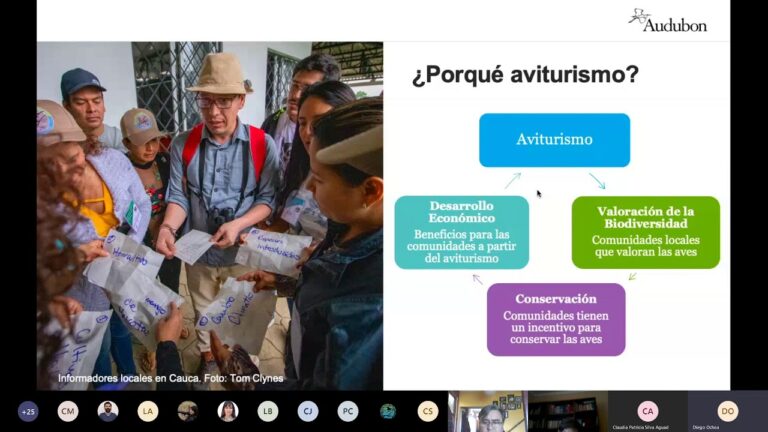 Senderismo y Avistamiento de Aves en Estuarios