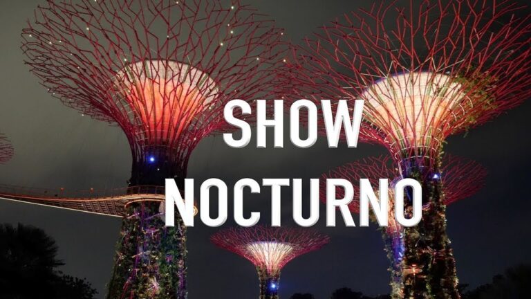 Espect&aacute;culos Nocturnos: Luces y M&uacute;sica en Parques Tem&aacute;ticos