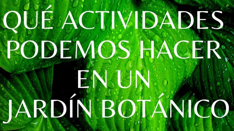 Explorando la Belleza de la Flora en Jardines Bot&aacute;nicos