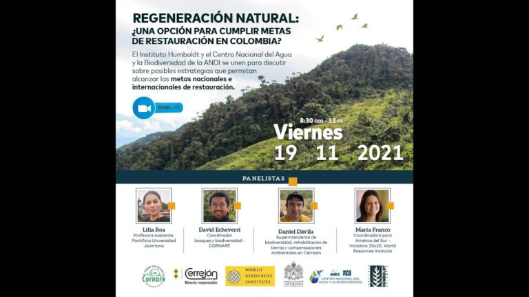 Espacios Verdes: Oportunidades de Restauraci&oacute;n y Sostenibilidad