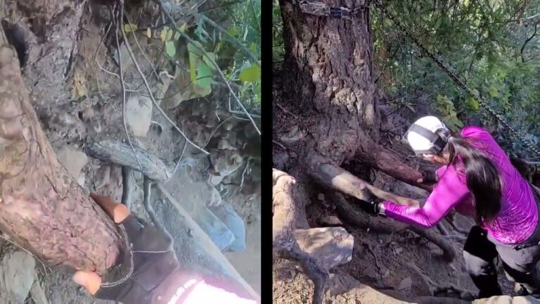 Senderismo Extremo: Explorando Parques de Aventura