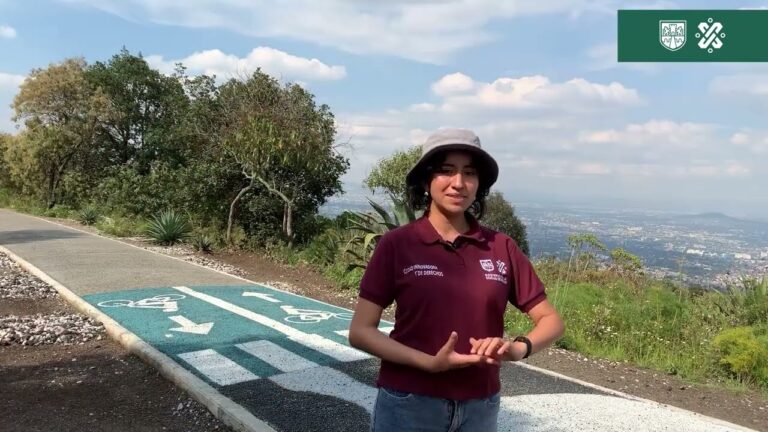 Explorando Parques en Bicicleta: Rutas entre Paisajes Verdes