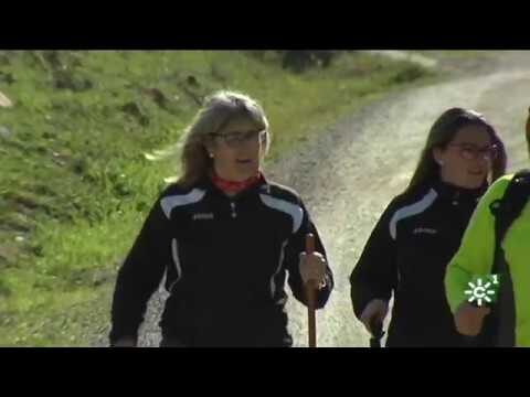 Optimizaci&oacute;n de la Se&ntilde;alizaci&oacute;n de Rutas de Bicicleta en Parques