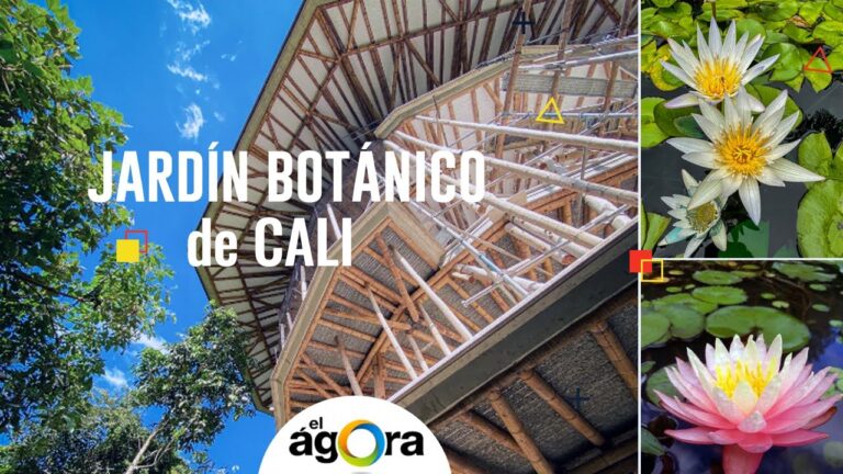 Descubre las Mejores Rutas Bot&aacute;nicas para Amantes de la Bot&aacute;nica