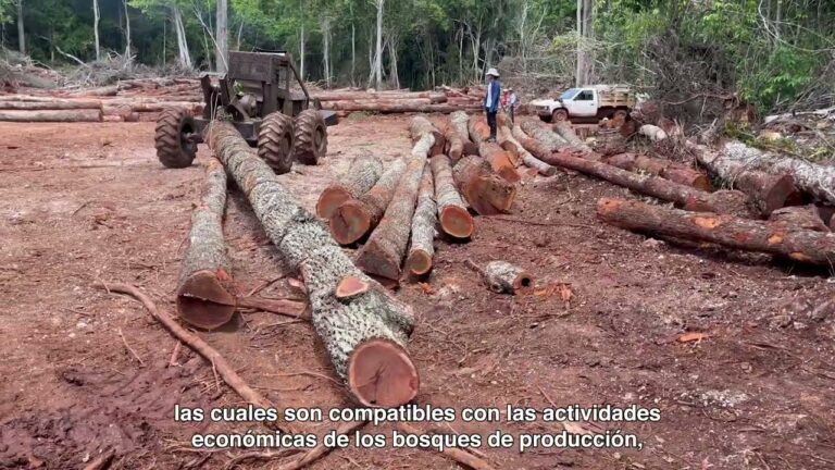 Estrategias Efectivas de Vigilancia en &Aacute;reas de Conservaci&oacute;n de Fauna