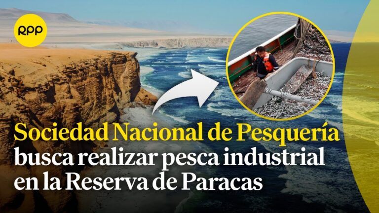 Estrategias Efectivas para el Manejo de Reservas Marinas
