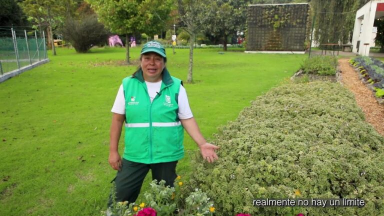 Plantas Medicinales en Jardines Bot&aacute;nicos: Un Viaje de Descubrimiento