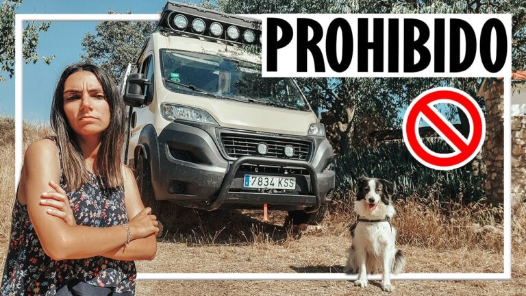 Escapadas Caninas en Parques Verdes: Descubre las Mejores Opciones