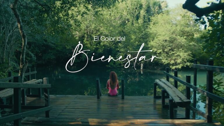 Bienestar y Relajaci&oacute;n en la Naturaleza: Disfruta de Parques Naturales