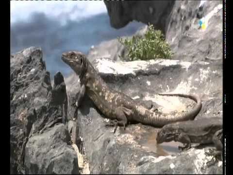 Miradores Naturales: Un Viaje a la Biodiversidad