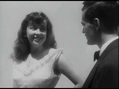 Cultura y Proyecciones: Eventos Audiovisuales en Parques