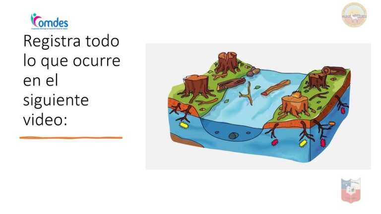 Impacto Positivo de las Reservas Marinas en los Ecosistemas