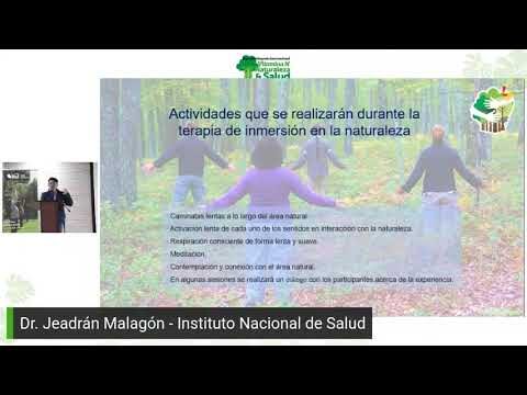 Conexión Natural en la Ciudad