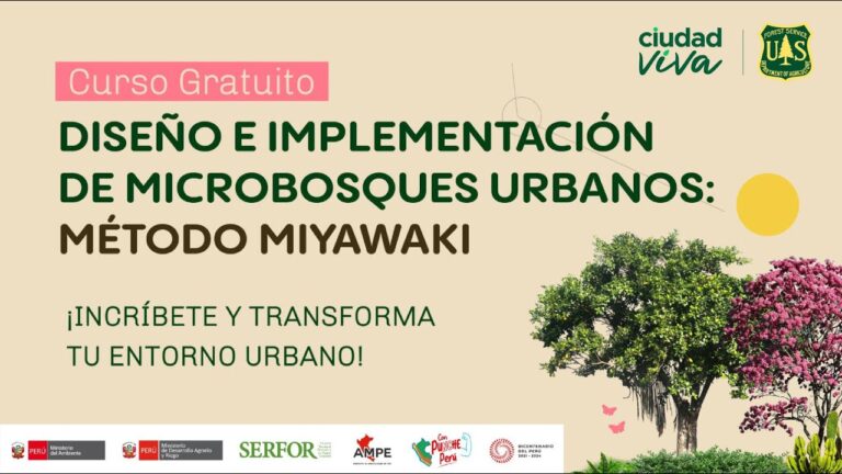 Estrategias Efectivas para la Reforestaci&oacute;n en Bosques Urbanos