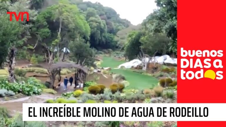 Disfruta de la Naturaleza en Zonas de Picnic