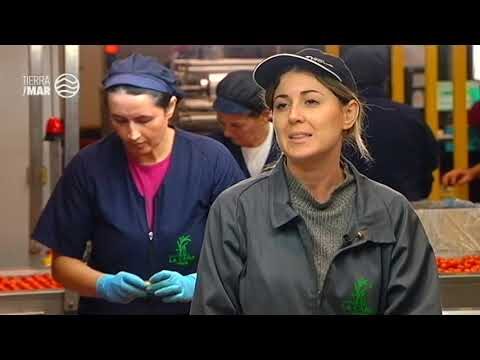 Turismo Responsable en Pantanos y Embalses: Pr&aacute;cticas Sostenibles para Conservar la Naturaleza