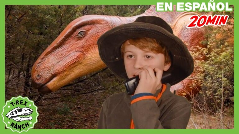 Actividades Emocionantes en Parques de Aventura