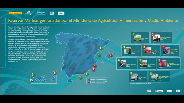 Estrategias Efectivas para Proteger la Pesca en Reservas Marinas