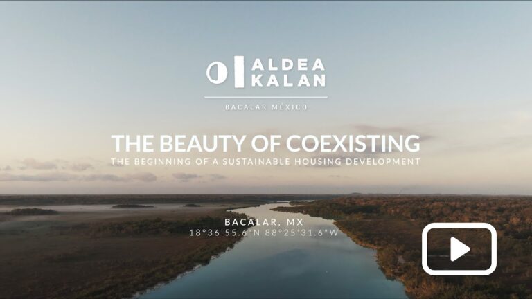 Santuarios de Naturaleza Preservada: Un Refugio para la Biodiversidad