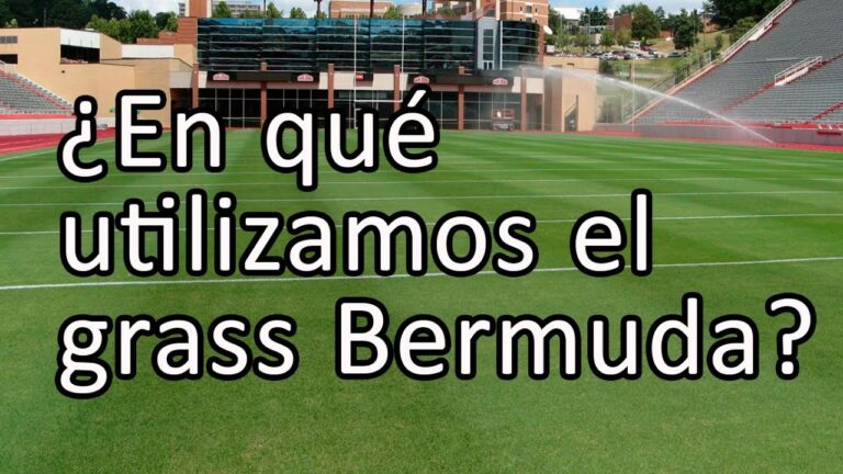 Sinergia entre Deporte y Recreaci&oacute;n en Campos de Golf