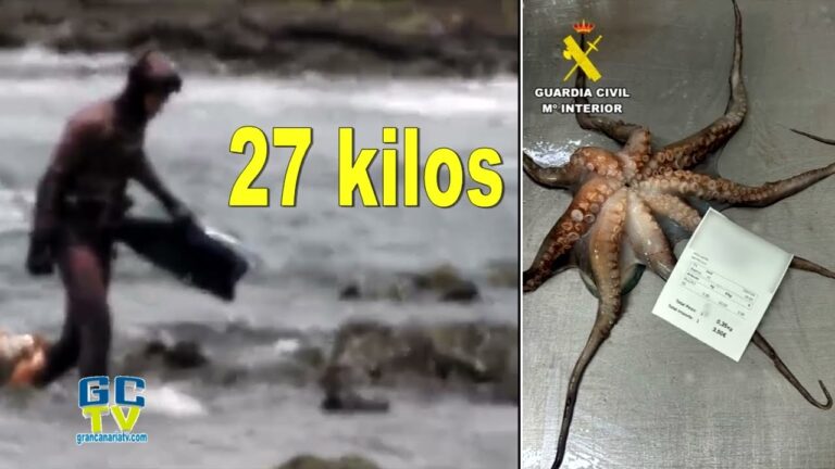L&iacute;mites de Captura en Pesca Recreativa: Normativas y Sostenibilidad