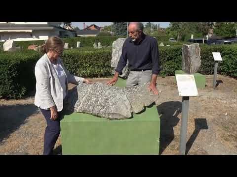 Arte al Aire Libre: Transformando Áreas Verdes