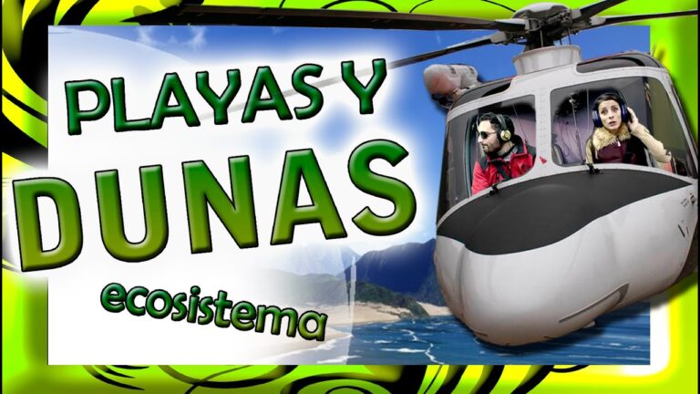 Conservaci&oacute;n de Ecosistemas Marinos en Playas y Dunas Naturales