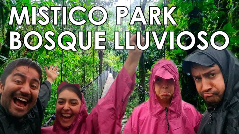 Aventura en la Naturaleza: Puentes Colgantes en Parques Exploratorios