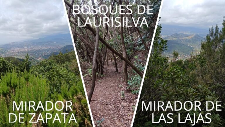 Conexi&oacute;n Natural: Miradores que Inspiran