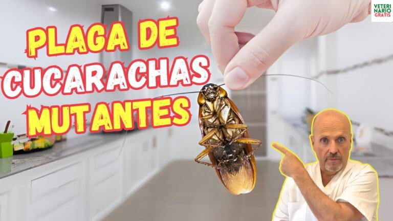 Estrategias Efectivas de Control de Plagas en Ambientes Acu&aacute;ticos