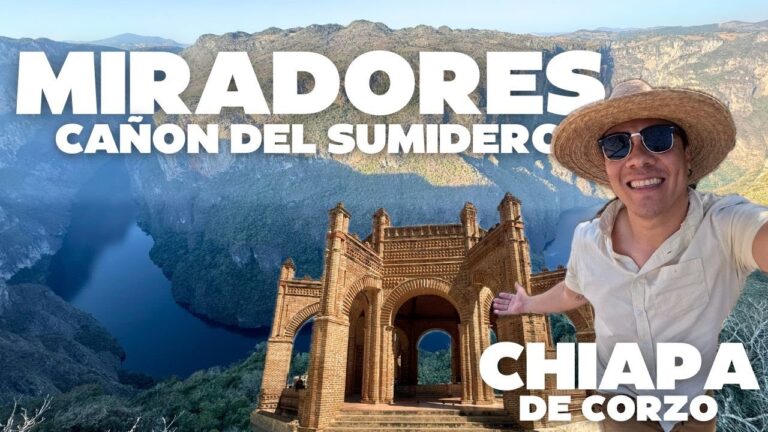 Apreciaci&oacute;n de la Flora en Miradores Naturales