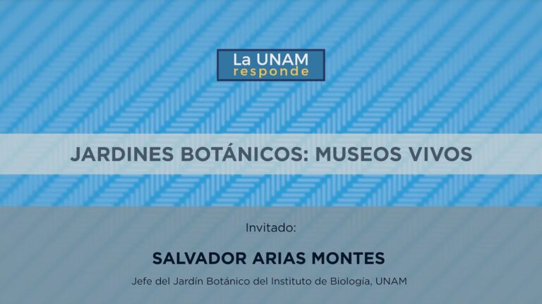 Explorando Colecciones Bot&aacute;nicas en Jardines Especializados