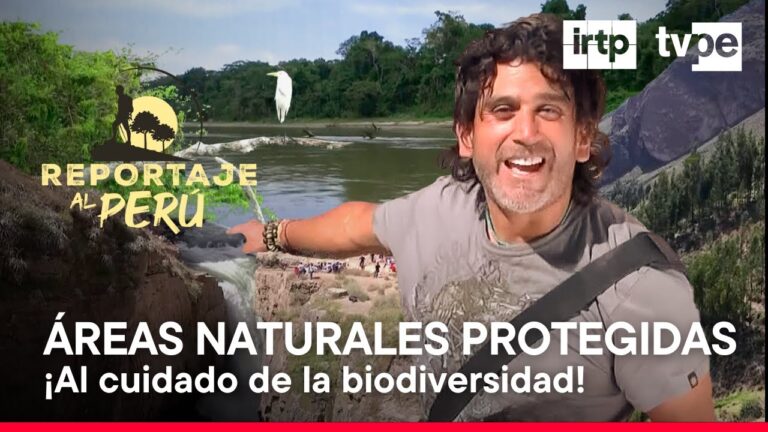 Explorando la Aventura en Espacios Naturales Preservados