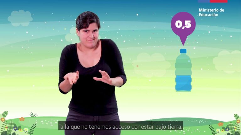 Aprendizaje Interactivo en Reservas Marinas: Innovaci&oacute;n y Conservaci&oacute;n