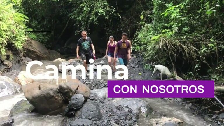 Descubre la Magia de los Parques Naturales de Diversi&oacute;n