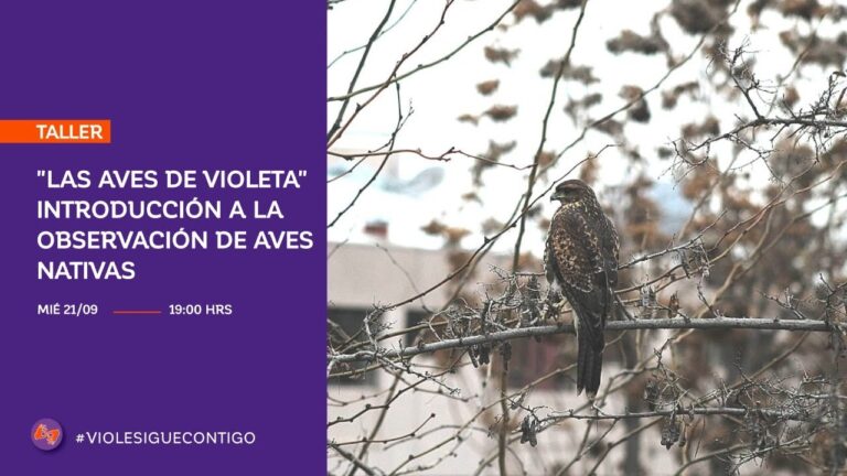 Avistamiento de Aves en Parques Urbanos: Conexi&oacute;n con la Naturaleza